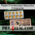 Anaconda Male Enhancement Pills 41
